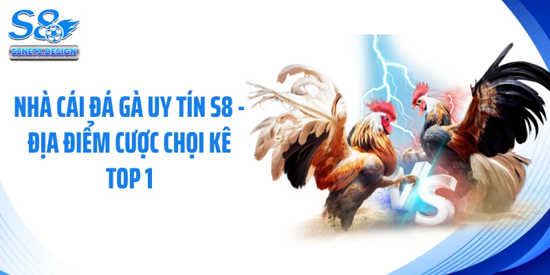 Nhà Cái Đá Gà Uy Tín S8 - Địa Điểm Cược Chọi Kê Top 1